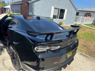 Back tint