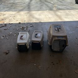 Animal Transport Crates