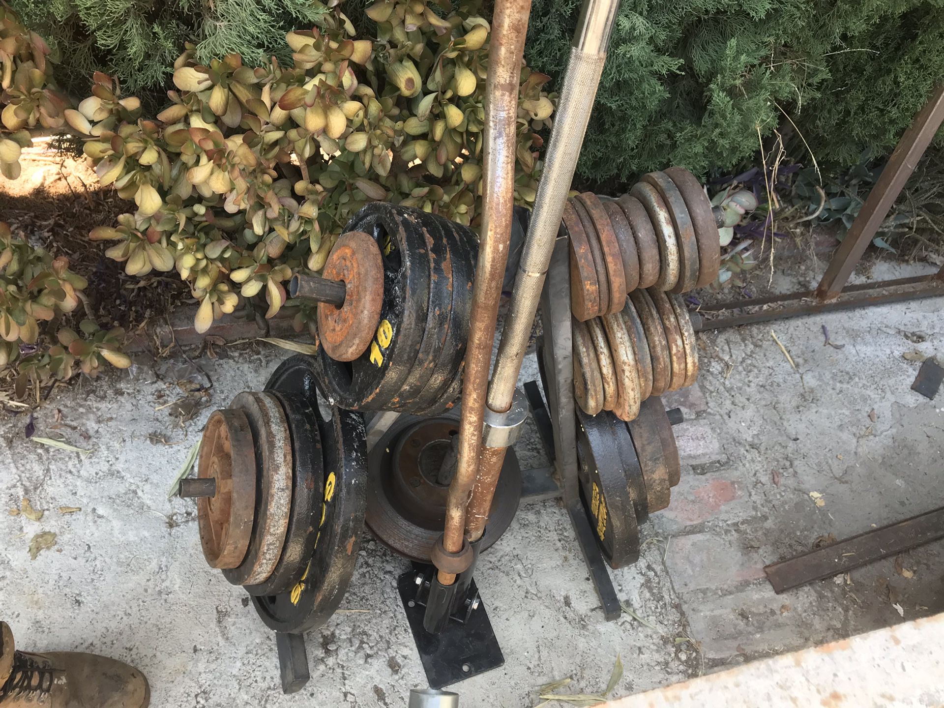 Weight set, weight rack, curl bar, Olympic barbell, barbell landmine