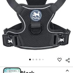 Pet Harness 