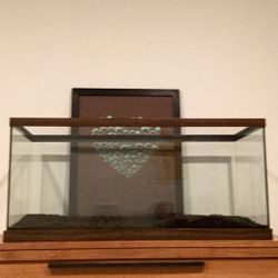 40 Gallon Fish Tank