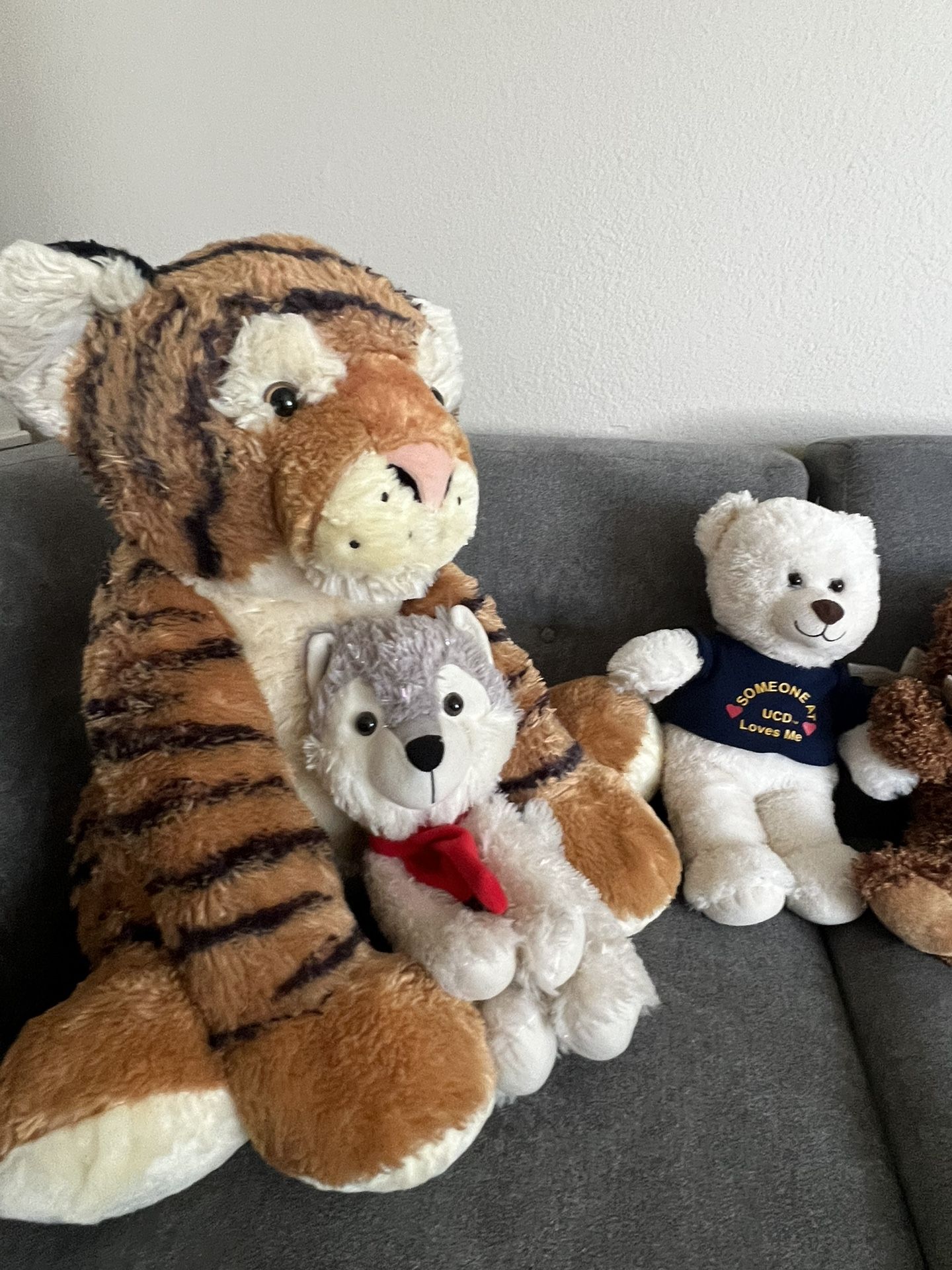 Stuffed Animals