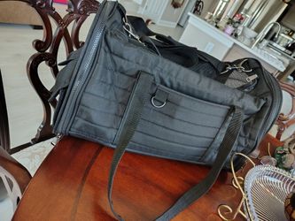 Black Dog Bag In Spring Hill