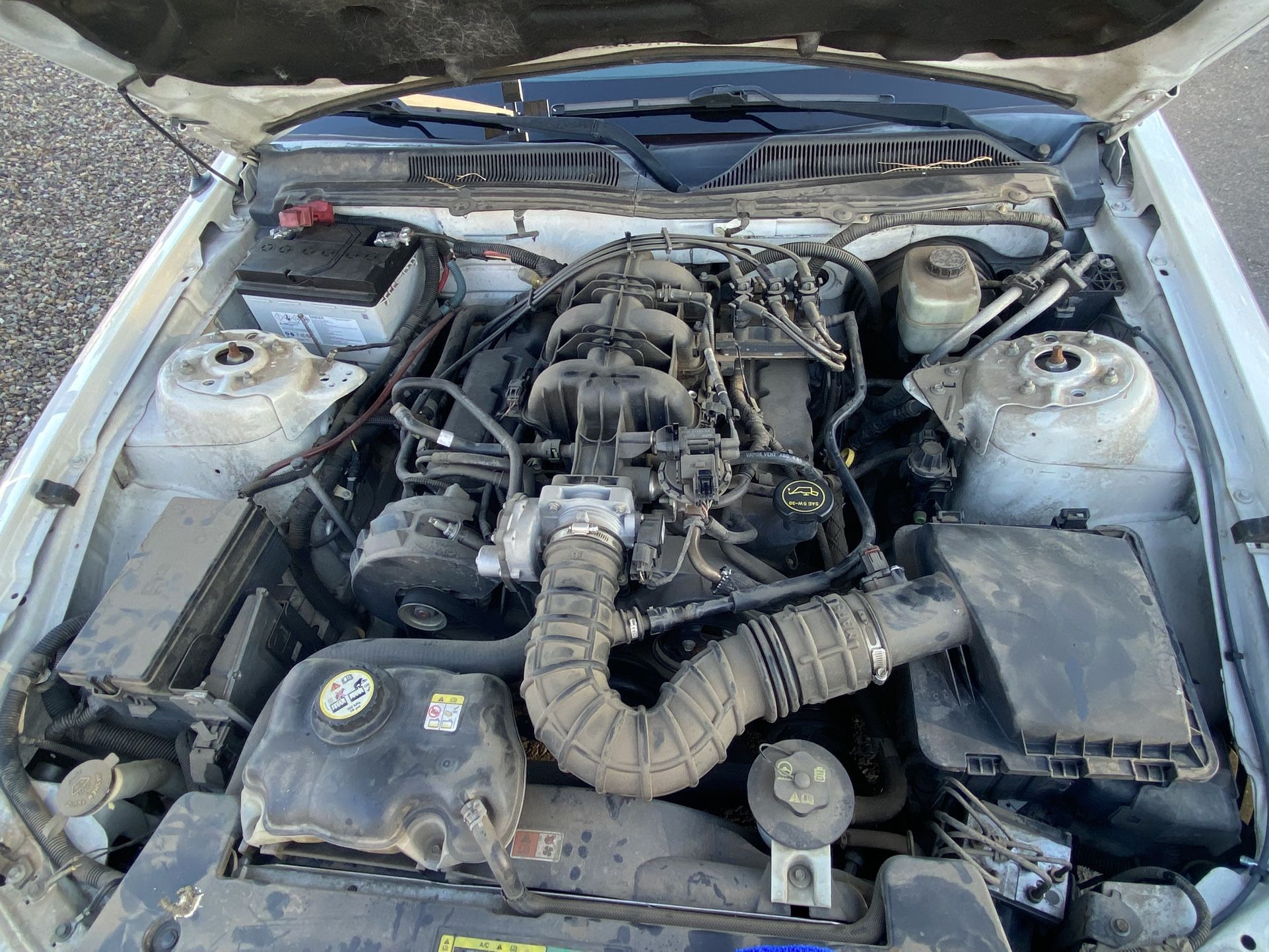 2006 4.0 Ford Mustang Engine
