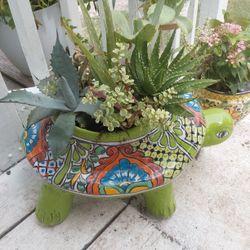 Turtle Planter