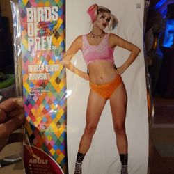 Bird Of Pray Harley Quinn Costume 