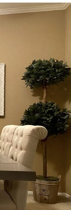 6-foot Topiary Tree, Set Of Two 