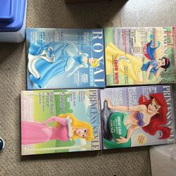 Disney Princess Poster