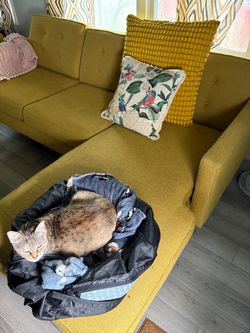 Mustard Yellow Tufted Sectional Sofa