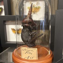Unicorn Fetus Display (fetal Pig)
