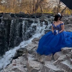 Brand new quince dress/crown/crinoline