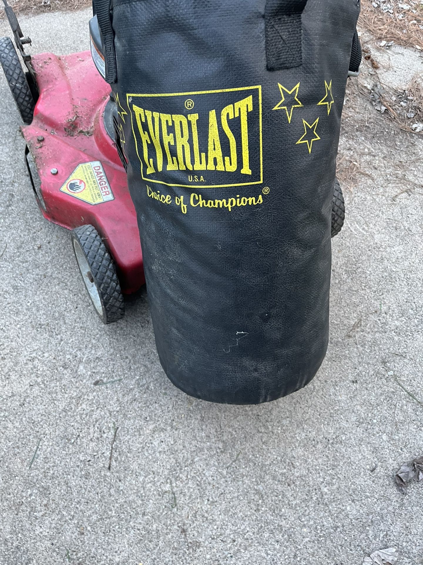 Everlast Punching Bag 