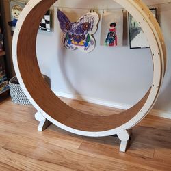 Cat exercise wheel 