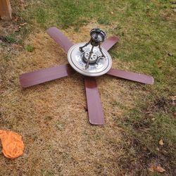 Ceiling ligh High Standard Very Nice Working Perfectly 