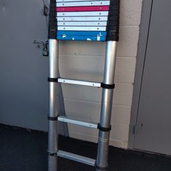 12 Ft Ladder 