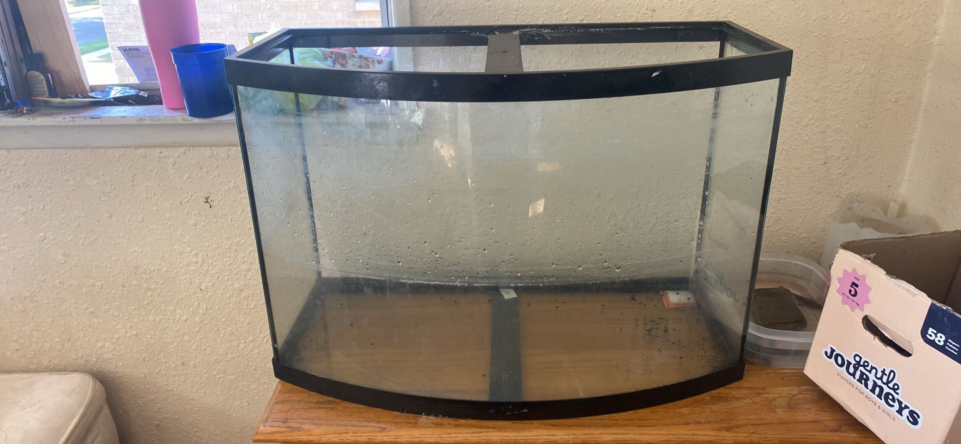 Bow Front Fish Tank