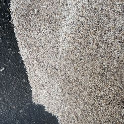 Carpet 