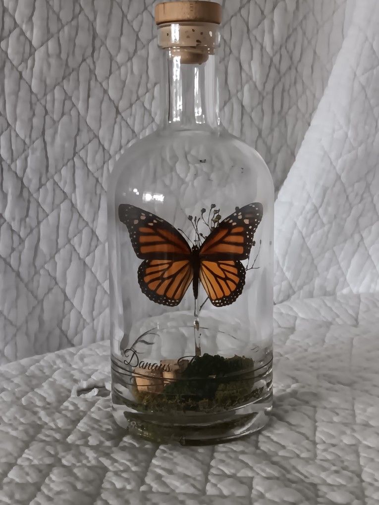 Butterfly Bottle Terrarium 10" Tall