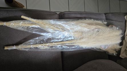Pampas grass 5 bags for floral arrangement etc