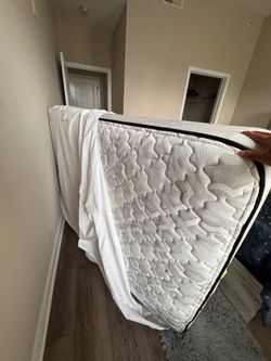 Queen Mattress