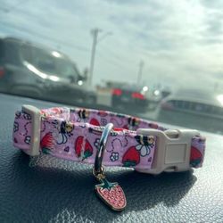 Collar For Medium Sized Dog