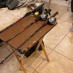 Sporting Goods Outdoors, Three Fishing Poles With Reels Brand New