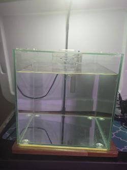 Top Fin 3 Gallon Shrimp & Plant Oasis Aquarium with Bamboo Base, LED Light & Filter