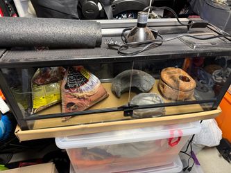 20 gallon long terrarium