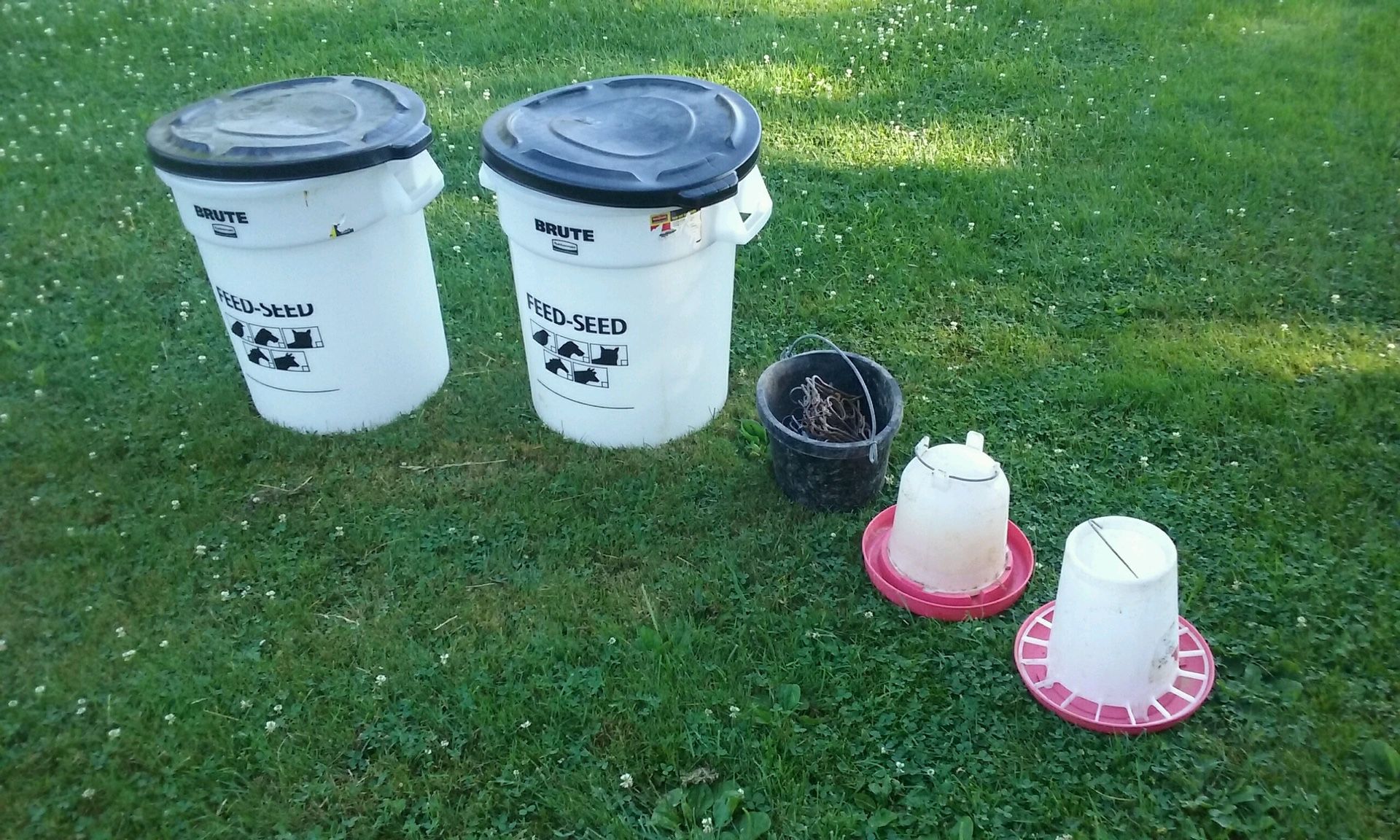 Feed containers & chicken watering pail