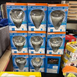 10 Pack Flood Light Bulbs