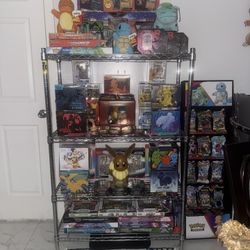 Pokemon Lot