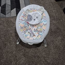Baby Bouncer