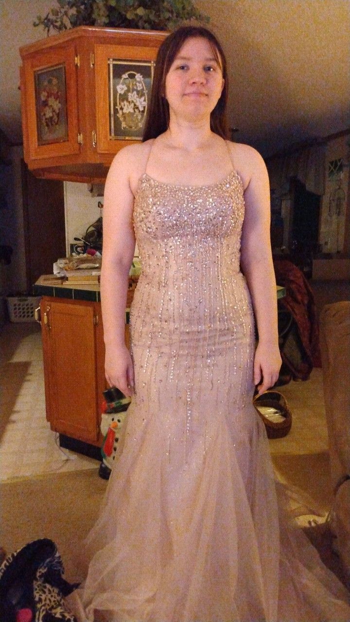Dusty Pink Prom Dress With Beaded Top.