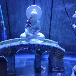 Fish Tank Ortaments