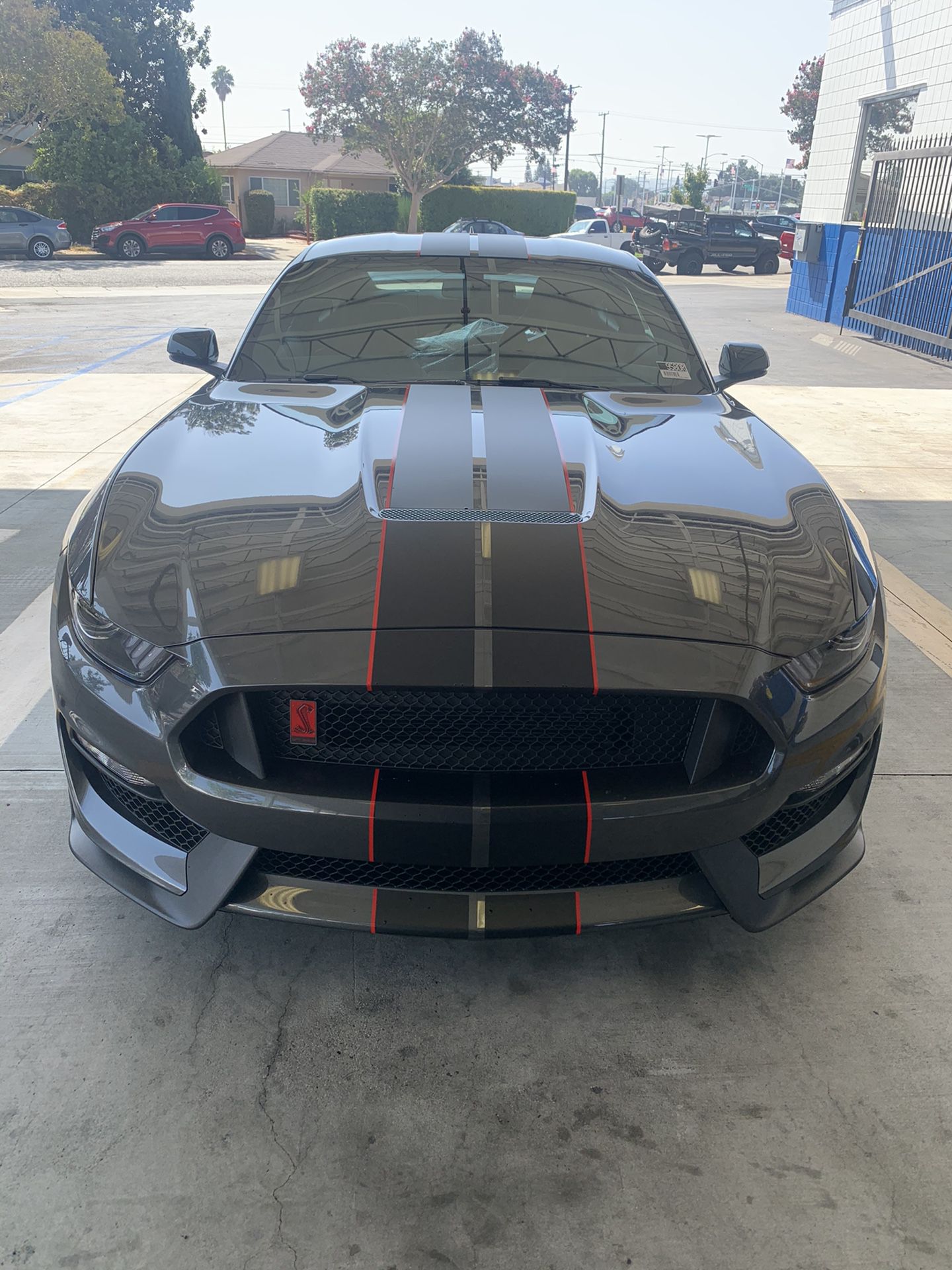 New Shelby GT 350R