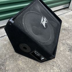 Peavey PV 15M 2-way Floor Monitor