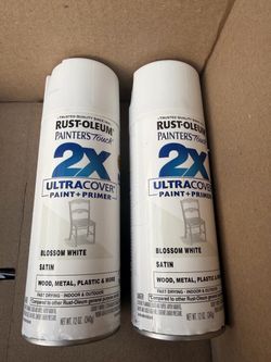 Rust-Oleum Painter's Touch 2X Spray Paint 2-Pack