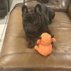 Ilovesquishys 