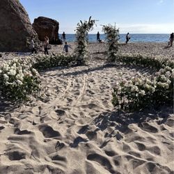 Beach Proposal with Real Roses