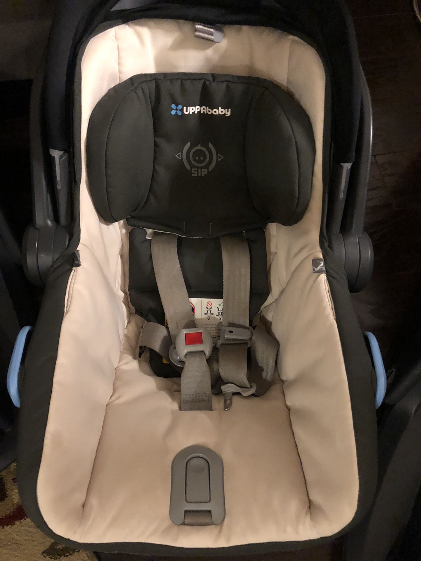 Uppababy Cruz car seat with 2 bases