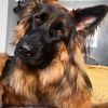 Anita