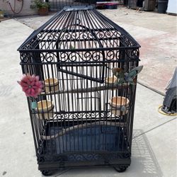Bird Cage  No Birds 