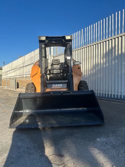Bobcat