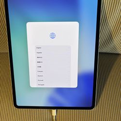 iPad Pro with free cover