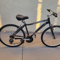 Raleigh Eva 2.0 Bicyle 