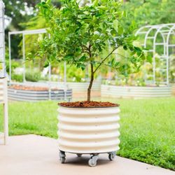 Vego Garden Self-Watering Rolling Citrus Tree Planter TREE NOT INCLUDED  NEW