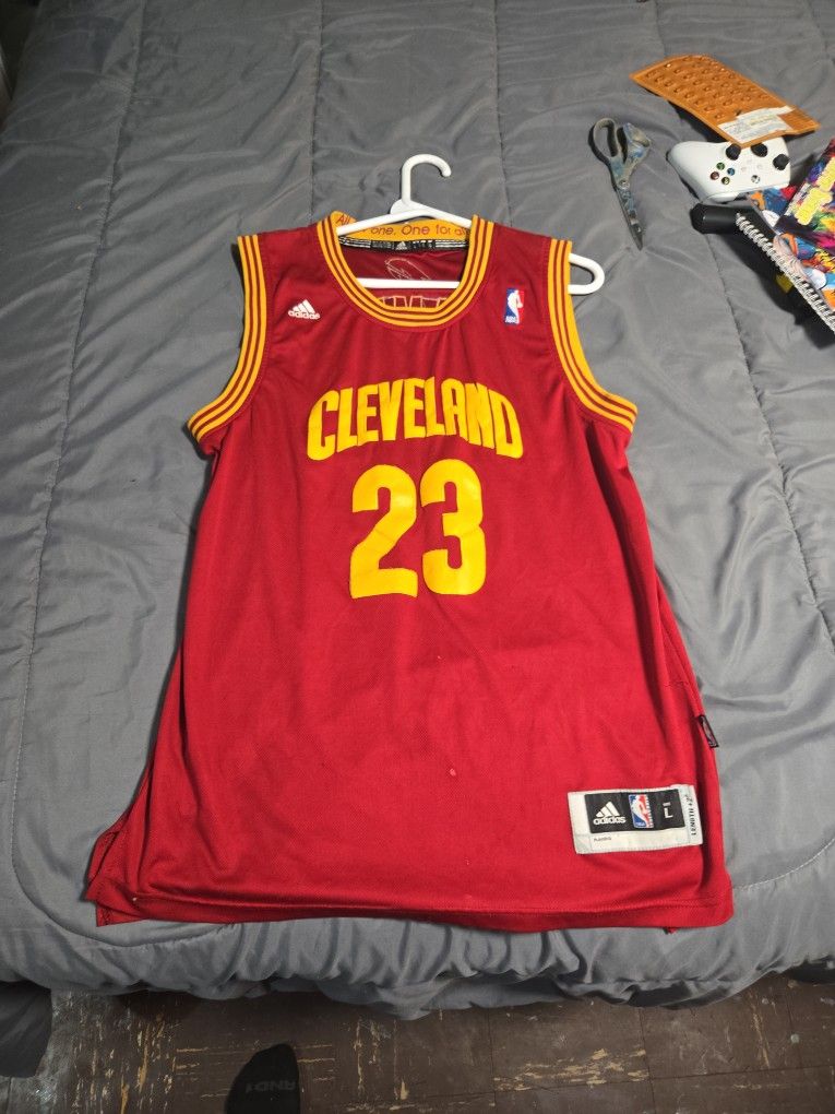 LeBron James Cleveland