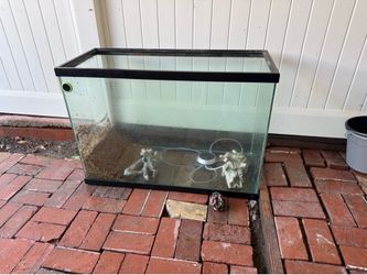 55 gallon fish tank