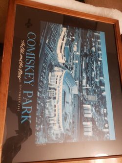Comiskey park