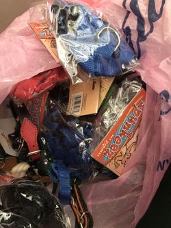 New dog collar, harness leash etc